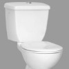 Plumber constructs world's fastest toilet