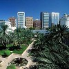 Billionaire sheikh makes his mark on desert