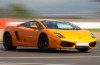 Courageous squirrel survives Lamborghini encounter
