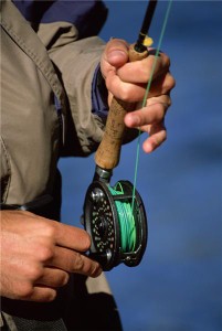 Man catches monster fish on first go
