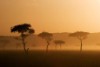 Safari park to hold Help for Heroes day