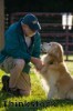 Sponsored dog march to raise Help for Heroes cash