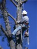 Tree surgeon 'almost severed own head with a chainsaw'