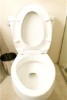Woman 'skids around' in motorised toilet 